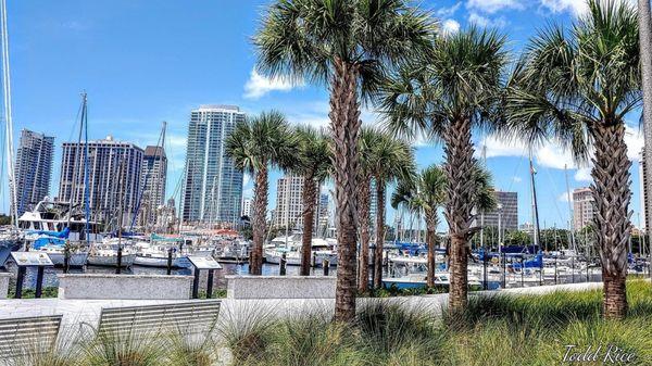 St. Pete Municipal Marina, in the heart of downtown St. Petersburg, FL. Wetslips, live-aboard, gorgeous water, beautiful views of the city.