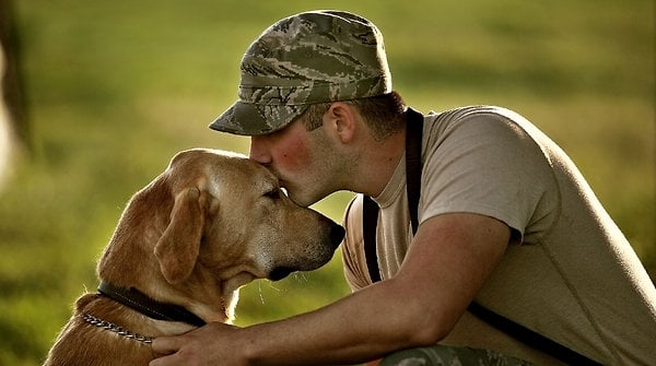 Vets Sitting Pets