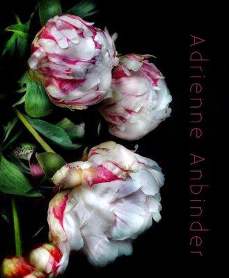 Winter Peonies