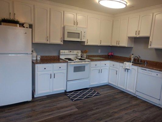 2x1 gourmet kitchen, ample cabinets, new LVT flooring