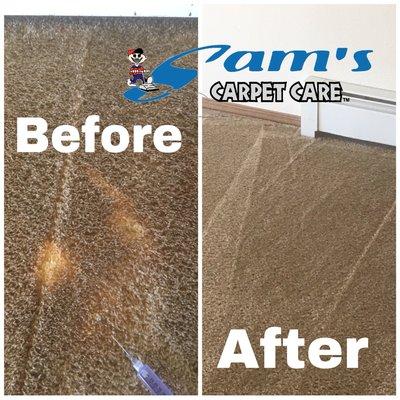 Sam's Carpet Care