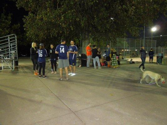 Walnut Creek Adult Softball Association