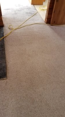 Restored and Sanitized Carpet Spring Hill TN