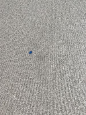 Stains left by crew on new carpet