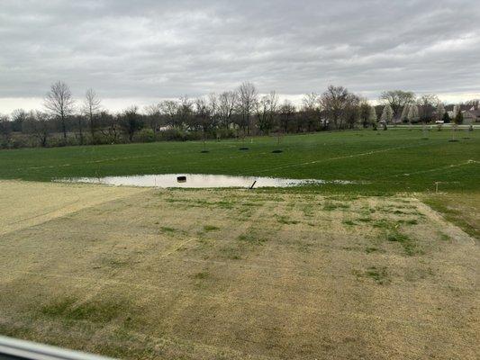 We now have a lake view and half of which is in our property.. Mind you we paid good money for this backyard to get this added view