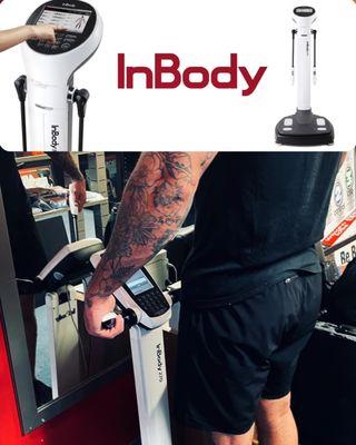 Body fat tester