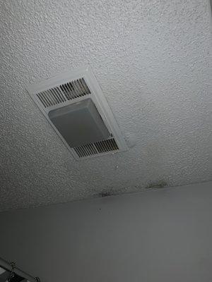 Mold build up and leaking fixture