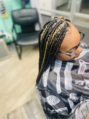 Exquisite Braids and Styles