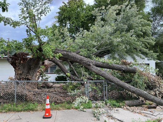 Lopez's Construction  And  Tree Services