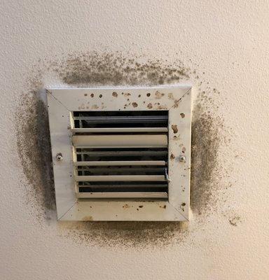 Mold Across America of Miami mold in vent