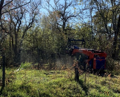 Austin Land Clearing