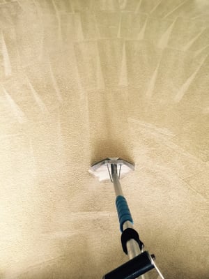 Carpet Cleaning