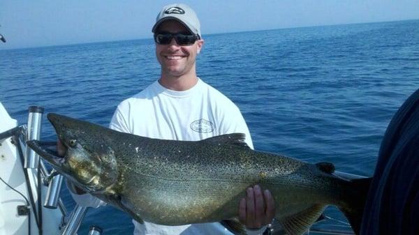 33lb king salmon