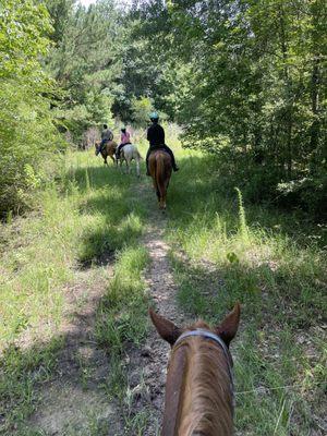 Tempe Creek Ranch