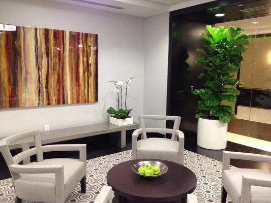 Office plants rental and plant maintenance services