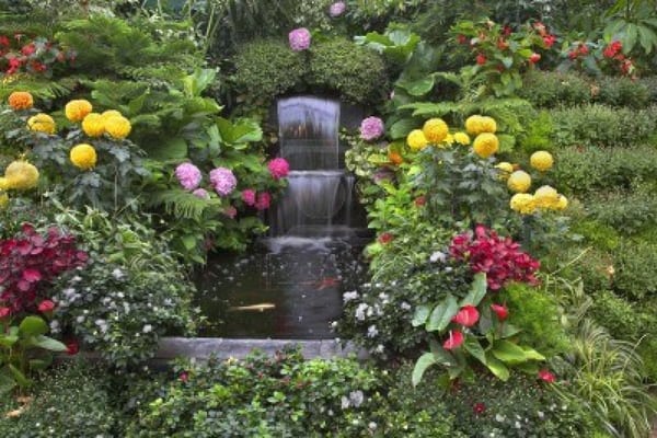 Garden water feature with matured flower and plant material