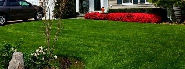 Bright green grass and landscaping