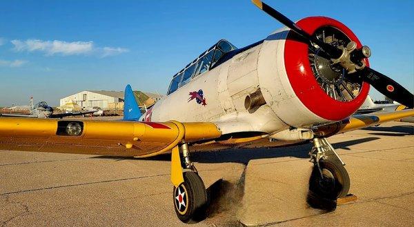 Bluebonnet Air Show