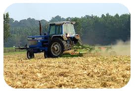 Happy Acres Ranch Tractor Mowing