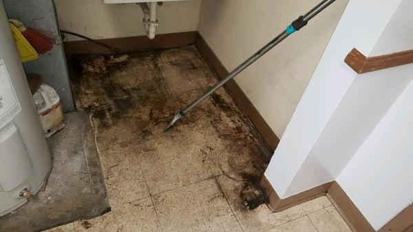 Dirty commercial VCT tile before cleaning.