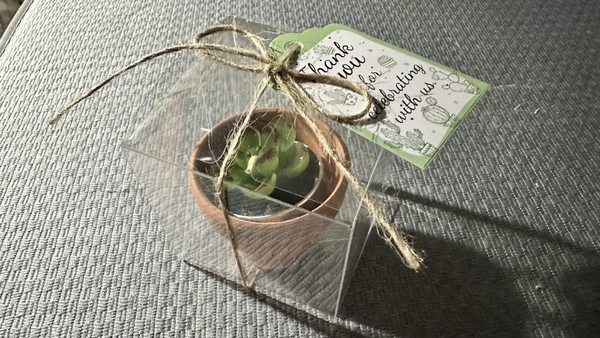 Sweet gift from my New Year's Eve massage visit. Cute succulent candle- what a kind gesture