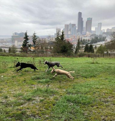 Running at the park!