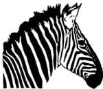 Zebra Striping