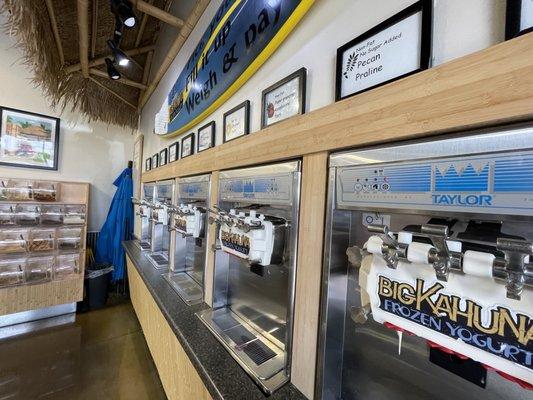 Big Kahuna Frozen Yogurt & Juicery