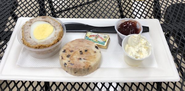 Scotch egg to the left, currant welsh cake in the middle, jam and some amazing clotted cream.