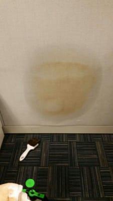 EXCELLENCE CARPET CLEANING AND RESTORATION DURING PIC (COFFEE STAIN) REMOVAL PROCESS