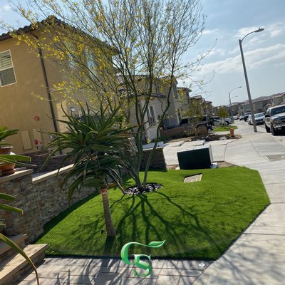 Fresh grass and some new trees for this front yard