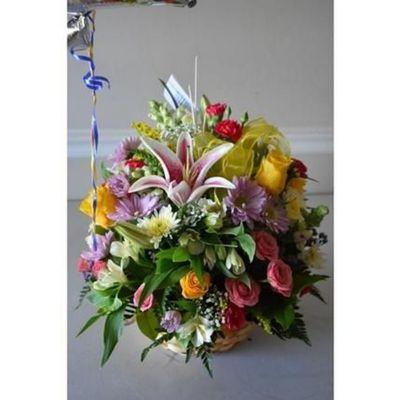 Our Stargazer Birthday Was Created To Give A Bright Start In Somebody's Special Day, with a beautiful gift.