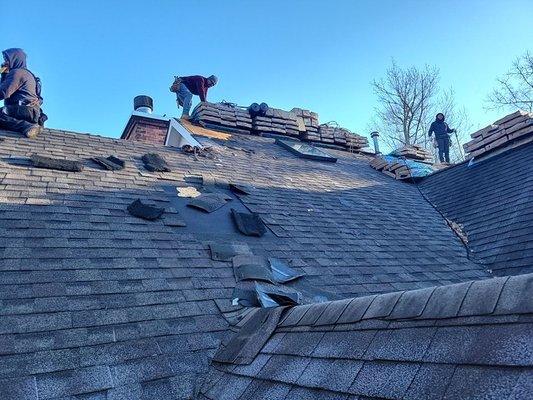 Roof Replacement