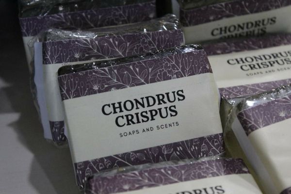 Chondrus Crispus soap