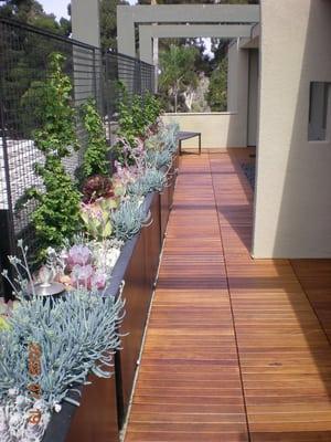 IPE Deck tiles on rooftop deck