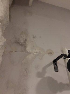 Mold and water