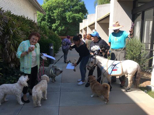 Blessing of the Animals Service