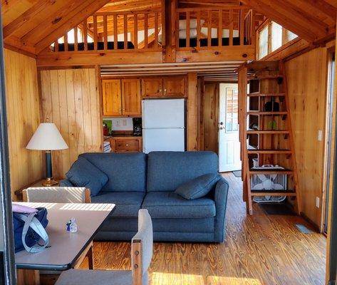 Living area with sofa bed