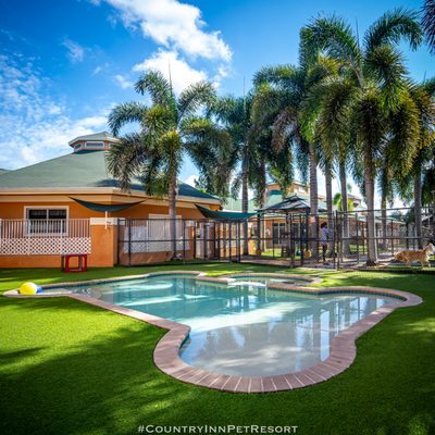 Bone-shaped Pool + Pawcuzzi. 
 
 This pool can be seen from our reception window so clients can enjoy seeing dogs swimming and having fun!