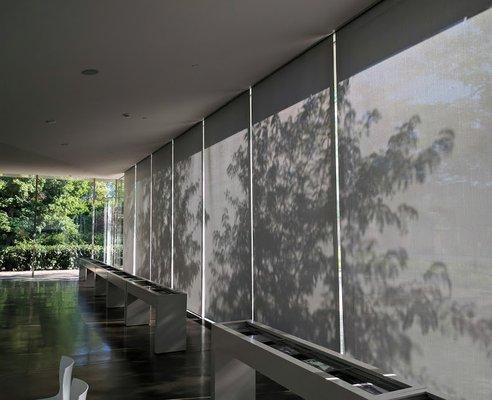 Morning sun casts shadows on the window wall in the pavilion