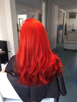 Vivacious Red created by Dovon