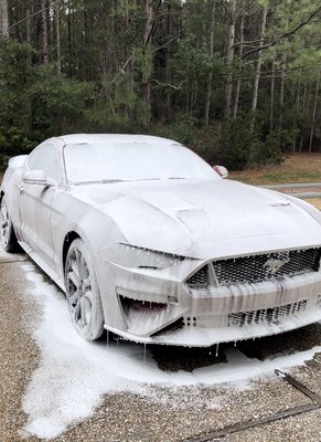 foamed mustang