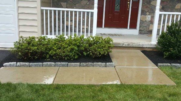 New shrubs with a belgian block border.  I should have taken a pic of what it used to look like - a total transformation!