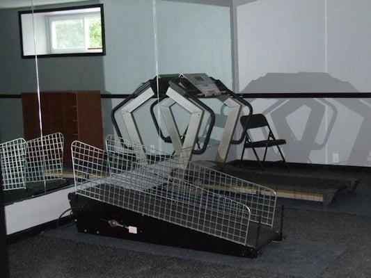 Keep your dog in tip-top shape, Treadmill available for rental in our crating room