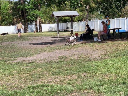 Sebastian Bark Park