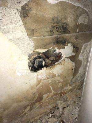 An ap apartment building infested with rats. Found the entry behind a dish washer. Rats were using the plumbing to travel.