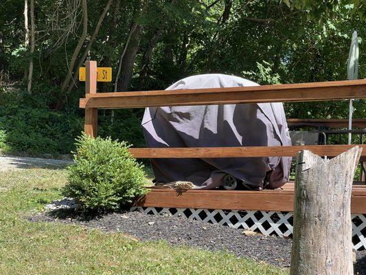 Patio site with a broken tiki torch.