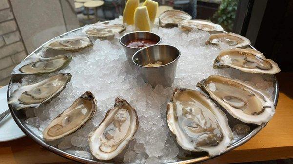 Oysters