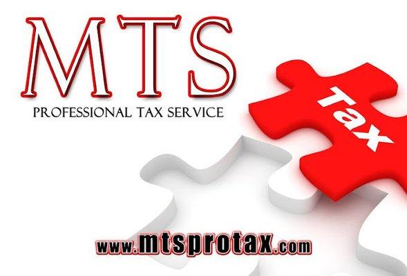 MTS PROFESSIONAL TAX SERVICE INC