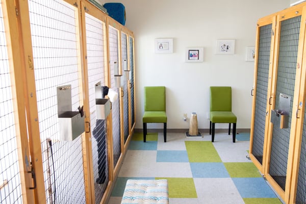 Our feline boarding area where you can visit with your pet or staff can give kitty massages.